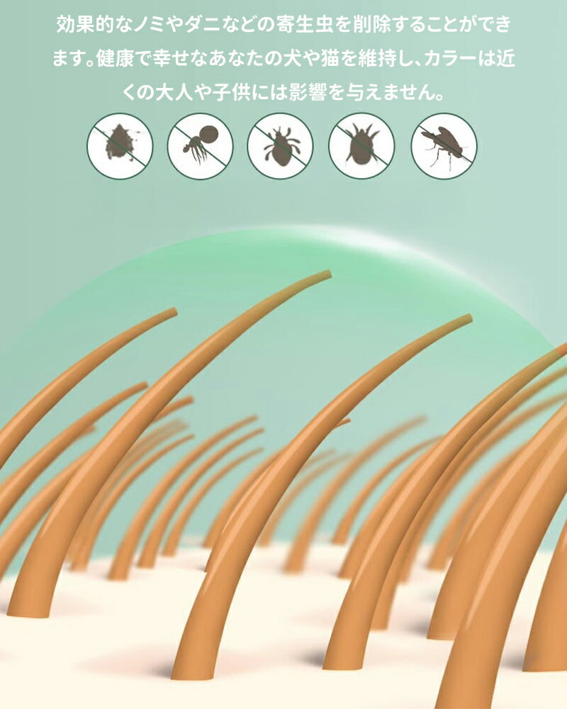 ��5�ܥݥ���ȡ��Υ߼����� ��褱 �� ����� ���ؤˤĤ��� ��ǭ ���� �ڥå��� 2���� ǭ�� ���� �ڥå� �Υߡ������к����� �Τ߼�� ��褱 ����� �� �� �����緿����Ŭ�� ���� ������к� ŷ���ϡ��� ����8���� Ĺ��Ĵ���ǽ ǭ����