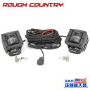【ROUGH COUNTRY(ラフカントリー)正規代理店】2インチ フォグライト ブラックシリーズ 2個汎用