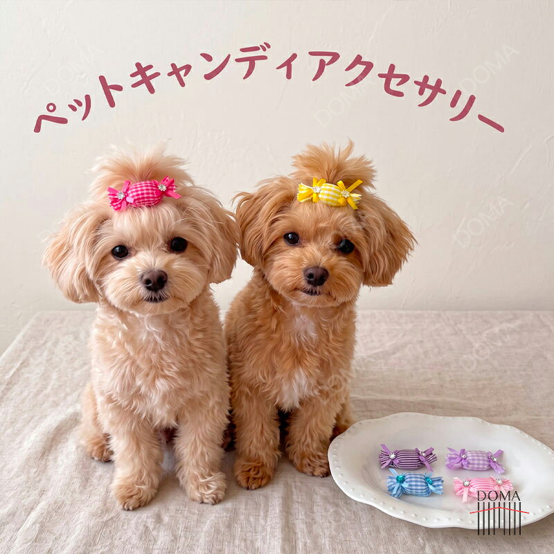 サイズ選びのポイント※計測：ワンちゃんのサイズを必ずご確認ください。 ※絶対条件：必ず愛犬の胴回りを超えるサイズを選んでください。 ※見た目：胴回りを超えた上で着丈に合わせる事が大事です。 ※秋冬向き：厚みのある洋服はワンちゃんのヌードサイズよりもゆとりをもってお選びください。注意事項■商品規格や洋服デザイン・仕様などで若干サイズが前後いたしますことをご了承くださいませ。 ■サイズ表の表示から±2〜3cmまでの誤差が生じる場合がございいますので、予めご了承ください。 ■生地の特性上、やや匂いが感じられるものもございます。数日のご使用や陰干しなどで気になる匂いはほとんど感じられなくなります。 ■同じ商品でも生産時期により形やサイズ、カラーに多少の誤差が生じる場合もございます。■海外輸入商品の為日本製品と異なり、多少の汚れ、縫製の甘い部分、糸の多少のほつれ、形のゆがみ、色むら等ある場合がございます。 ■恐れ入りますが当店では商品発送後の返品はお受け出来ません。あらかじめご了承下さい。 ■当店の営業日は平日となっております。■30％以上の割引商品につきましては、交換対応はいたしかねます。 ■商品画像はイメージです。 ※サイズは当店独自の採寸基準に基づき計測しております。素材の特性や伸縮性に応じて、できる限り実際の着用感に近い数値となるよう採寸しておりますが、商品によって多少の誤差が生じる場合がございます。通常は±2〜3cm程度を目安としておりますが、特に高伸縮素材の商品につきましては、通常より誤差が大きくなる場合がございますので、サイズ表はあくまで目安としてご参考ください。 ※掲載画像・サイズ表は参考情報となります。最終的には実際の商品をご基準くださいますようお願いいたします。■商品の撮影には最大限注意を払っておりますが、閲覧時のモニター環境によりましては実際の商品と若干違うお色味に映ることもございます。関連キーワード楽天 おすすめ ドッグウェア おしゃれ ペット服 ペットグッズ ペット用品 かわいい 小型犬 中型犬 わんちゃん ワンちゃん 猫服 ネコ カジュアル 軽量 脱着簡単 お散歩 お出かけ お揃い ペットベッド 贈り物 お祝い シーズー ダックス トイプードル 柴犬 チワワ パグ ポメラニアン ヨークシャーテリア マルチーズ ボストンテリア犬 冬服 暖かいお問い合わせ少人数で運営のため、電話対応できない場合がございますので、なるべくお問い合わせフォームからお問い合わせ下さいませ。 『購入履歴→詳細→ショップへ関する問い合わせ』返品・交換 ■未使用であれば、サイズ交換は可能です、大変恐縮ですが、返送分と再送分の送料をご負担頂きたく存じます。 ----交換について---- ■商品到着後、3日以内にご連絡ください。 ■汚れ・タグや付属品の欠品などがある場合は受け付けできません。 ■事前にご連絡がない交換はお受けできません。必ず事前にメールでご連絡ください。 ■交換に掛かります費用は全てお客様負担です。 ■返送時は「宅配便」等の配送番号が分かる方法で配送してください。 ■交換商品の在庫が当店、メーカーで完売している場合はサイズ交換ができません。ご了承ください。関連商品