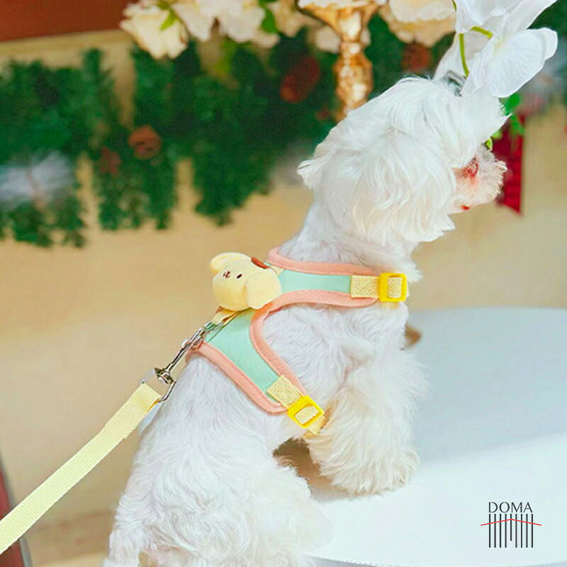 ドマ通販楽天市場店の犬用 ハーネス リード付き 簡単装着 軽量 超小型犬 小型犬 中型犬 かわいい おしゃれ 犬用 胴輪 負担が少ない 抜けない ダブルロック メッシュ お出かけ お散歩 ドッグウェア｜アングル3