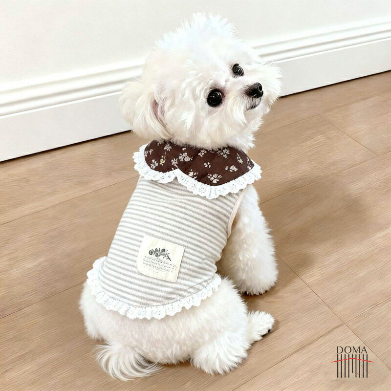 犬服 ドッグウェア 小型犬用 ボーダー レース襟 おしゃれ ペット服 秋冬 暖かい XS-XL