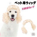 かわいいペットウィッグ(犬用・猫用)で、愛犬・愛猫をもっと魅力的に!