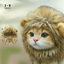 かわいいペットウィッグ(犬用・猫用)で、愛犬・愛猫をもっと魅力的に!