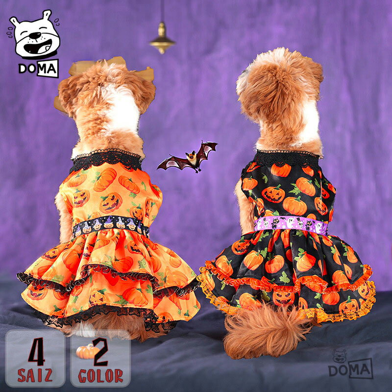  ԡ ϥڥåȲ ڥå ץ 淿  λ   ڥåȥ塼 İ  ǭ ڥåȤβ ...