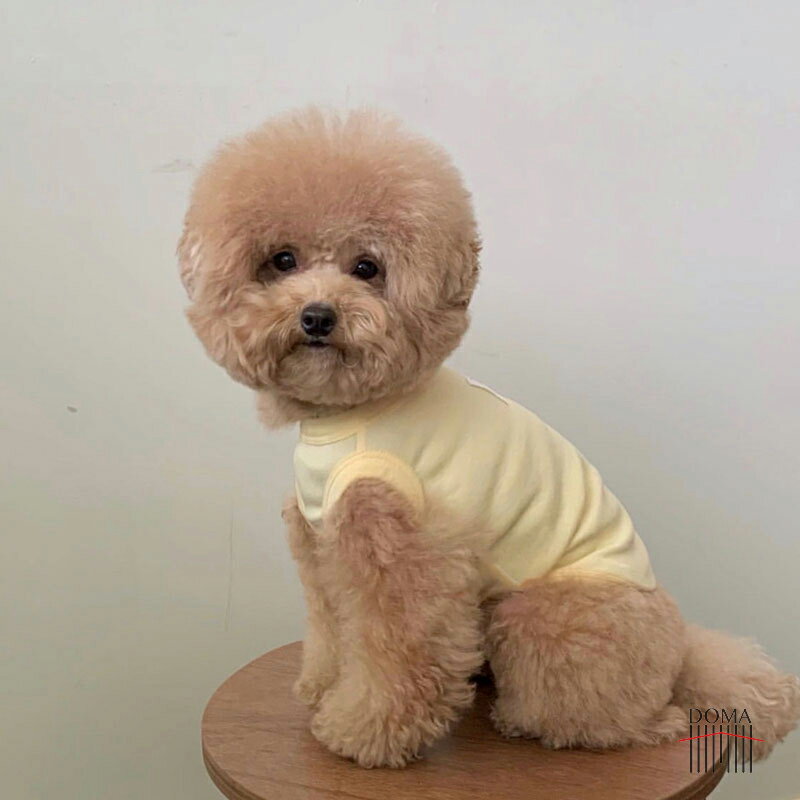 犬の服 タンクトップ かわいい 伸縮性抜群 小型犬 中型犬 男の子 女の子 ペット服 お出かけ 可愛い ドッグウェア ペットウェア お散歩 犬 猫服 おしゃれ