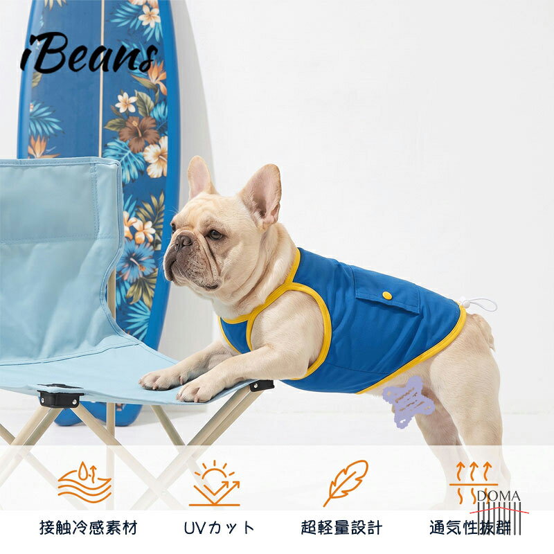 楽天市場】パグ クールウェアの通販