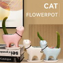 【全国送料無料】植木鉢 多肉植物鉢 サボテン鉢 猫 可愛い 陶器鉢 セメント製 おしゃれ プランター 小型植物適用 多肉植物ポット 卓上 置物 インテリア プレ...