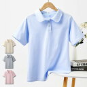 カットソー ポロシャツ Tシャツ コットン% スクール 半袖 トップス コットン レディース 女子 女性 柔らかい 夏 夏服 夏物 カジュアル Tシャツ シンプ...
