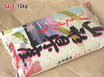 3月おすすめ 30年度山形県産庄内はえぬき白米10kg 10kg×1袋 送料無料 但...