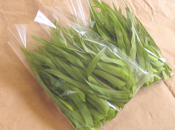 菅草/カンゾウ 500g 250g×2袋 山形県産/クール便