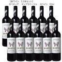 ロベティア テンプラニーリョ 750ml×12本 送料無料【スペイン 赤ワインセット ライトボディ ビオロジック ヴィーガン 認証 オーガニック 日常飲み ケース買い 家飲み 業務用】【12本セット】