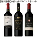 【セット内容】 ・キュヴェ アレクサンドル カルメネール ラポストール 750ml ［チリ 赤 フルボディ ふくよか ］ 濃厚な味わいとカルメネールらしいミントの香りがしっかりしたお肉にピッタリ！ ・フォンテルートリ キャンティ クラシコ マッツェイ フォンテルートリ ［イタリア キャンティ 赤 フルボディふくよか サンジョヴェーゼ］ 現地ではビステッカ（Tボーンステーキ）とキャンティは定番の組み合わせ♪がっつりステーキと合わせて！ ・カテナ マルベック カテナ ［アルゼンチン 赤 フルボディ フルーティー］ 肉といえばマルベック！カテナのエレガントなマルベックは薄切りの上品な赤身肉と合わせて。