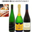 【送料無料/蟹におすすめワインセット】旬を楽しくワインでマリアージュ 750ml 3本セット【ワインセット/旬/楽しく/ワイン/マリアージュ/白ワイン/赤ワイン/スパークリング/蟹/2月/かにしゃぶ/…