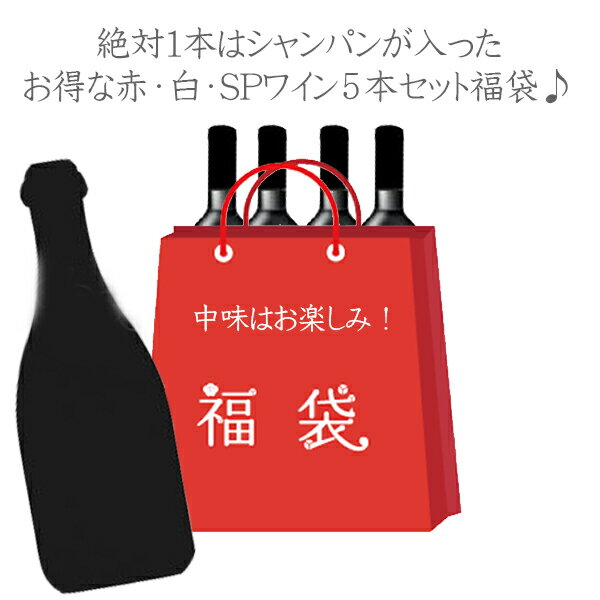 ［送料無料］福袋 絶対1本はボランジェ グラン ダネ ロゼ 1996が入った ワイン5本セット (750ml×5本)　赤 白 スパークリング 数量限定 お買得