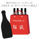 ［送料無料］福袋 絶対1本はボランジェ グラン ダネ ロゼ 1996が入った ワイン5本セット (750ml×5本)　赤 白 スパークリング 数量限定 お買得