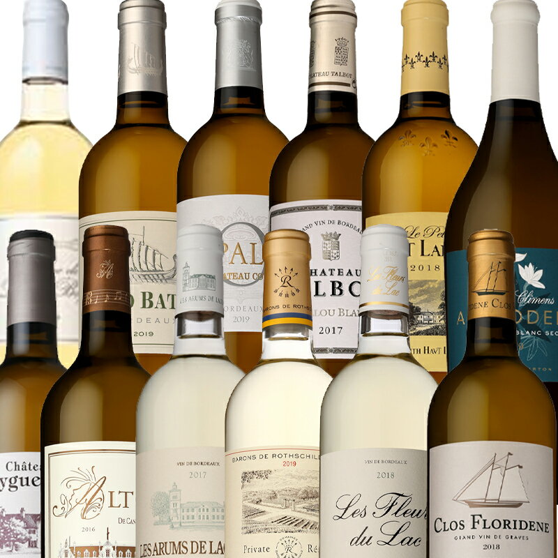 初夏に楽しむボルドーワインおすすめ 750ml×12本贅沢セット【フランス ボルドー 白ワイン 辛口 ワインセット】爽やかで華やかなボルドーブランを贅沢に12本...