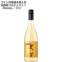 【地域別送料無料】ビコーズ アイム シャルドネ フロム サウザン フランス 750ml×1本Because,I'm Chardonnay from Southern France【フランス 白ワイン ワインセット 辛口 シャルドネ100% 】