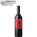 ynʑzrR[Y AC Jxl\[Bj t TEU tX 750ml~1{Because,I'm Cabernet Sauvignon from Southern FranceytX ԃC CZbg ~fBA Jxl \[Bj100% z