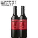 ynʑzrR[Y AC Jxl\[Bj t TEU tX 750ml~2{Because,I'm Cabernet Sauvignon from Southern FranceytX ԃC CZbg ~fBA Jxl \[Bj100% z