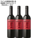 ynʑzrR[Y AC Jxl\[Bj t TEU tX 750ml~3{Because,I'm Cabernet Sauvignon from Southern FranceytX ԃC CZbg ~fBA Jxl \[Bj100% z