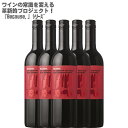 ynʑzrR[Y AC Jxl\[Bj t TEU tX 750ml~5{Because,I'm Cabernet Sauvignon from Southern FranceytX ԃC CZbg ~fBA Jxl \[Bj100% z