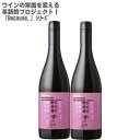 ynʑzrR[Y AC OibV t TEU tX 750ml~2{Because,I'm Grenache from Southern FranceytX ԃC CZbg ~fBA OibV100% z