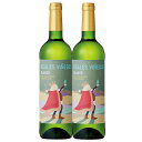 【白ワイン】レアレス・ビニェードス 白 750ml×2本セット【スペイン 白ワイン 辛口 マカベオ 70% ベルデホ 30%】