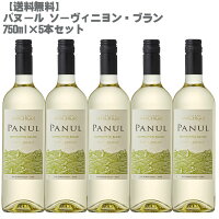 【送料無料】 パヌール ソーヴィニヨン ブラン 白 750ml×5本 【 チリ 白ワイン 辛口 】