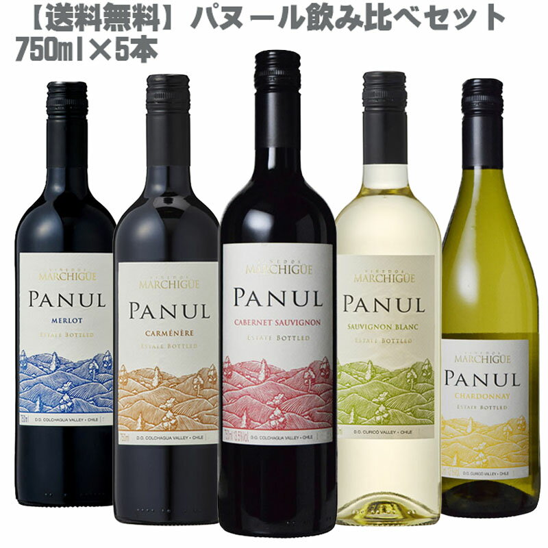 【送料無料】 パヌール 飲み比べ5本セット 750ml×5本 ［チリ 赤ワイン 白ワイン ミディアム 辛口 コストパフォーマンス パーティー ギフト デイリー コスパ抜群］