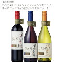 【送料無料】比べて楽しむテイスティングセット♪オーガニックワイン飲み比べ3本セット！【ワインセット/チリ/BIO/ビオワイン/お手頃/パーティー/ギフト/最適】