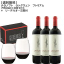 【送料無料】テラノブレ ラッグウェン プレミアム750ml×3本セット+リーデルオー2脚付！【 ワインセット チリ カルメネール シラー プティベルド フルボディ 辛口 】