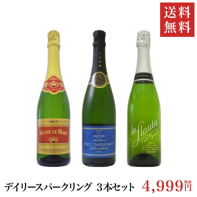 【送料無料】デイリー スパークリング ワイン （Aセット）750ml 3本セット | ワインセット