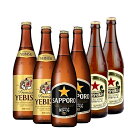 エビス＜ザ・ブラック＞ ［送料無料］おすすめ サッポロビール 中瓶 飲み比べ 500ml×6本セット［サッポロ エビス 黒ラベル ラガー ］[瓶ビール]