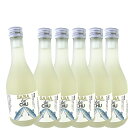 SABA de CHU (サバデチュウ)300ml×6本セット【明利 アルコール16度 焼酎ベース リキュール 】