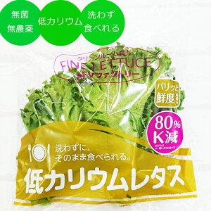 【低カリウムレタス】カリウム控えめで生野菜！低カリウムレタスのおすすめは？