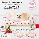 スクエアベッドM 50×40×15cm いちごプリントダブルガーゼ ペットベッド tassu タッス Happy Strawberry イチゴ 苺 ガーゼ パイル 犬 いぬ イヌ 猫 ネコ ねこ ペット ペット用 ベッド インテリア お洒落 可愛い 168-6176