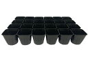 【5/1限定】 ポイント最大20倍&最大400円クーポン配布|根巻防止連結ポリ鉢9cm合体くん24鉢タキイ種苗
