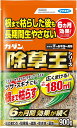 【5/1限定】 ポイント最大20倍&最大400円クーポン配布|除草王オールキラー粒剤 900g フマキラー