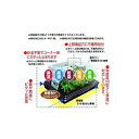 【5/1限定】 ポイント最大20倍&最大400円クーポン配布|苗カバー 育苗箱 510型用 エフピコチューパ 園芸用品・ガーデニング用品