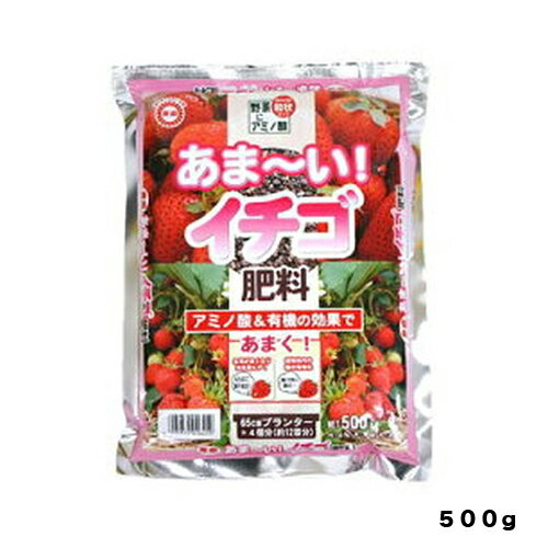 あまーいイチゴ肥料500G東商園芸用