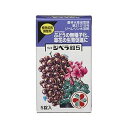 【5/1限定】 ポイント最大20倍&最大400円クーポン配布|ジベラ錠55X5住友化学園芸園芸用品・ガーデニング用品