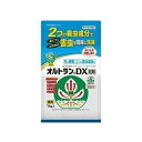 【5/1限定】 ポイント最大20倍＆最大400円クーポン配布｜住友化学園芸オルトランDX粒剤1kg害虫対策