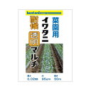 【8/1限定】 ポイント最大20倍|岩谷マテリアル菜園用透明マルチ0.02X950X50m