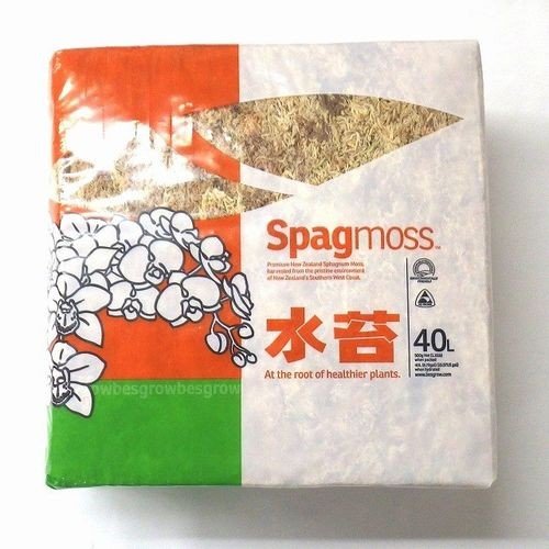 南米産 水苔500g（乾燥圧縮タイプ）