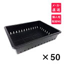 【5/1限定】 ポイント最大20倍&最大400円クーポン配布|育苗箱35型安全興業ガーデニング園芸用品
