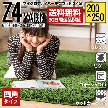 ラグ シャギーラグ 送料無料 rug 200×250 250×200 マイクロファイバーシャギー 北欧 Z4糸 ラグマット シャギー 滑り止め カーペット グリーン 洗える ホットカーペット 冬用 夏用