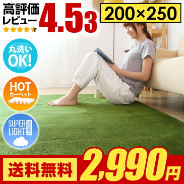 【もれなくP10倍★本日20:00〜23:59】 ラグ ラグマット 送料無料 rug 北欧 カーペット グリーンも 250×200 200×250cm 洗える 滑り止め 絨毯 冬用 夏用