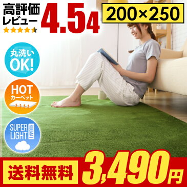 ラグ ラグマット 送料無料 rug 北欧 カーペット グリーンも 250×200 200×250cm 洗える 滑り止め 絨毯 冬用 夏用