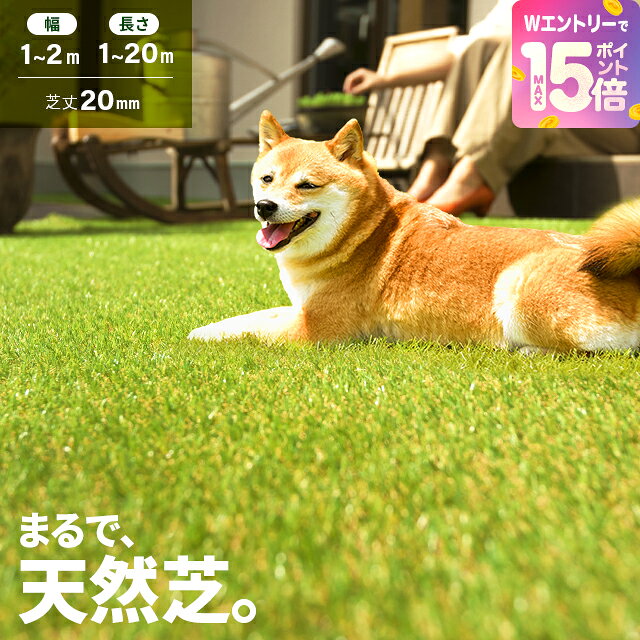 [10%クーポン＋エントリーで19日から最大P15倍] 人工芝 ロール ドッグランに最適 2m×10 ...