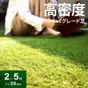 [P5倍 5/10 12時～] 人工芝 高密度タイプ ロール 2m×5m 芝丈35mm 送料無料 人工芝 芝生マット 人工芝生 人工芝マット…